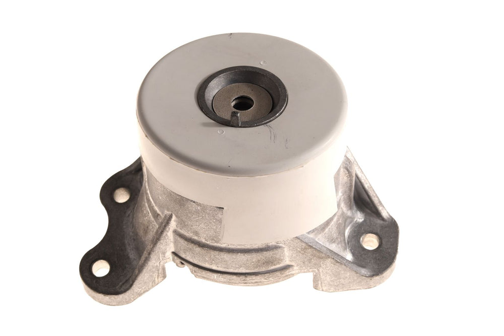 BOGAP Premium Mounting for engine C1911131
