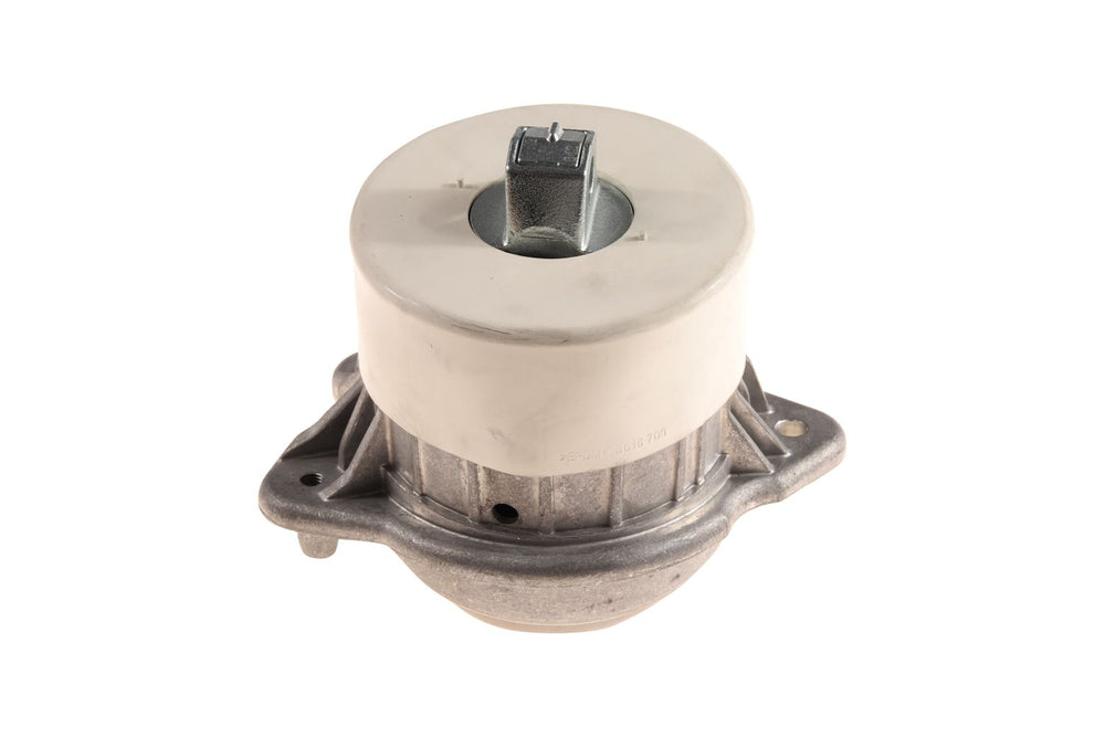 BOGAP Premium Mounting for engine C1911144