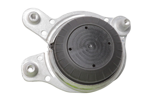 BOGAP Premium Mounting for engine C1911168