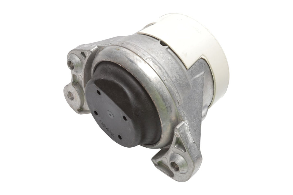 BOGAP Premium Mounting for engine C1911197
