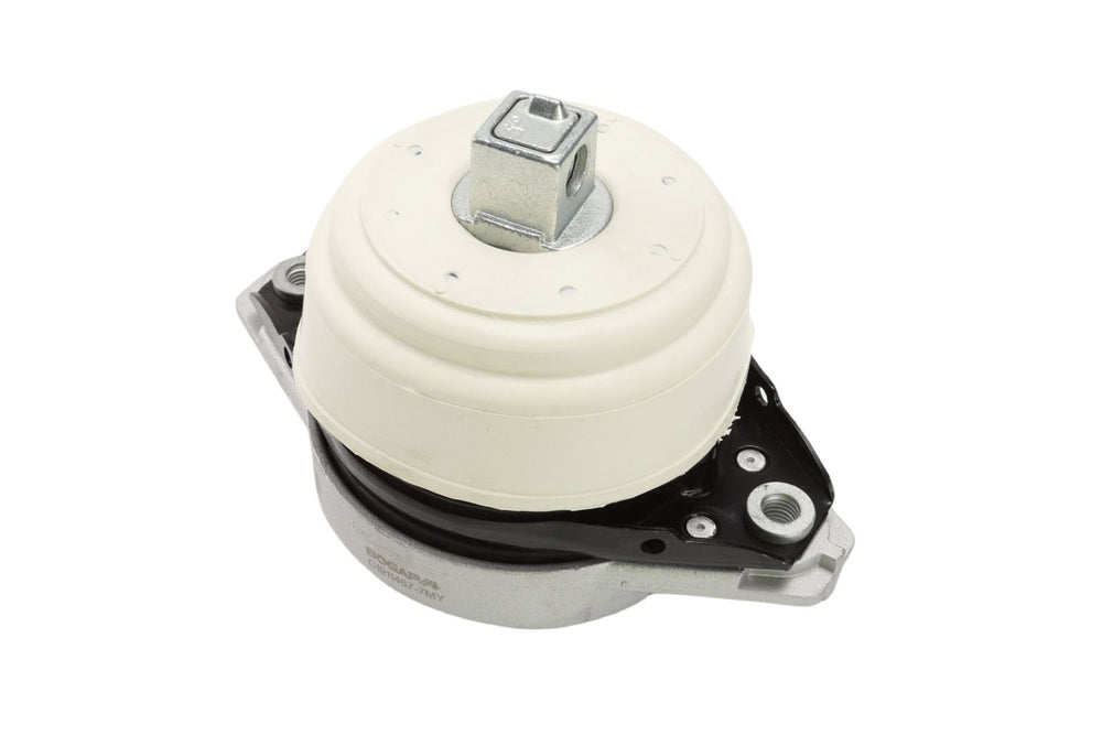 BOGAP Premium Mounting for engine C1911467