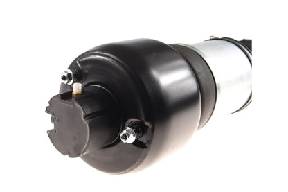 BOGAP Premium Air Suspension Strut C3410107