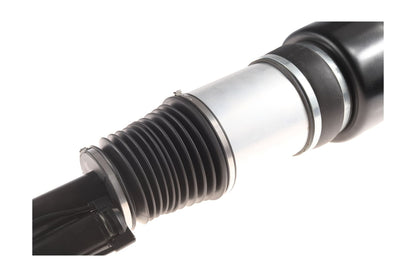 BOGAP Premium Air Suspension Strut C3410108