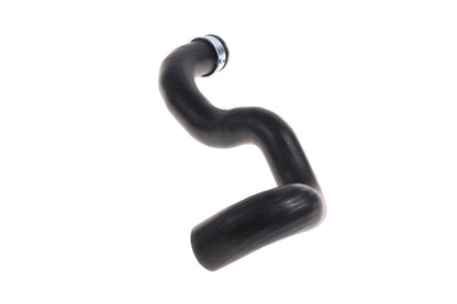 BOGAP Premium Radiator Hose C4228109