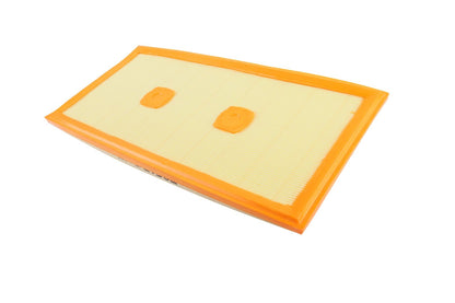 BOGAP Premium Air Filter C8111113
