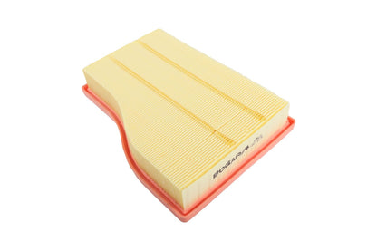 BOGAP Premium Air Filter C8111176