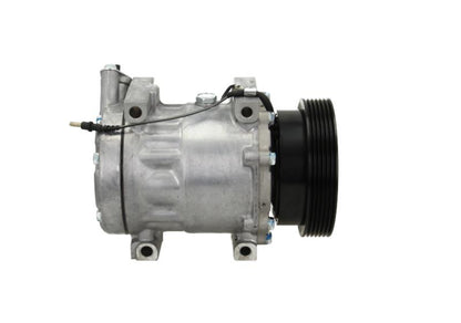 Delphi New Aircon Compressor for Dacia CS20533