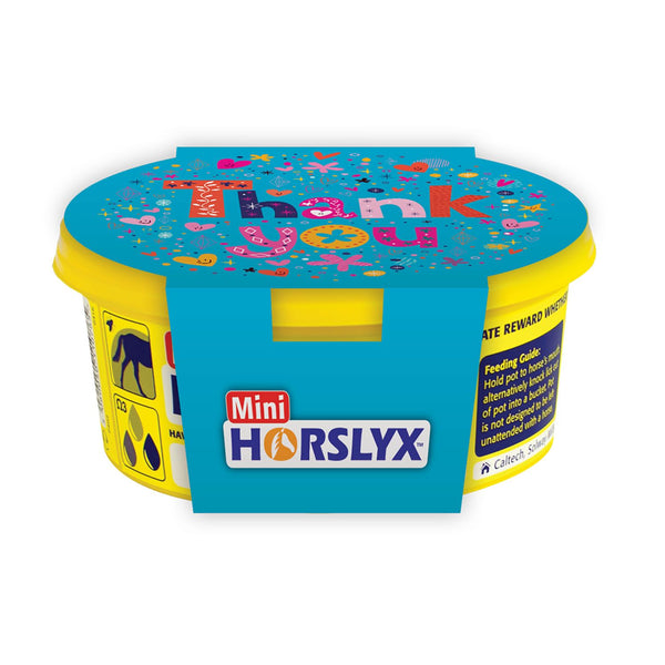 Horslyx Mini Gift Sleeves Thank You - 6 Pack [P915]