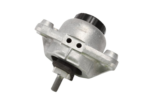 BOGAP Premium Mounting for engine E1911116