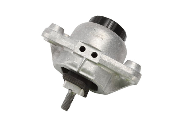 BOGAP Premium Mounting for engine E1911116
