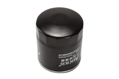 BOGAP Premium Oil Filter E8113107