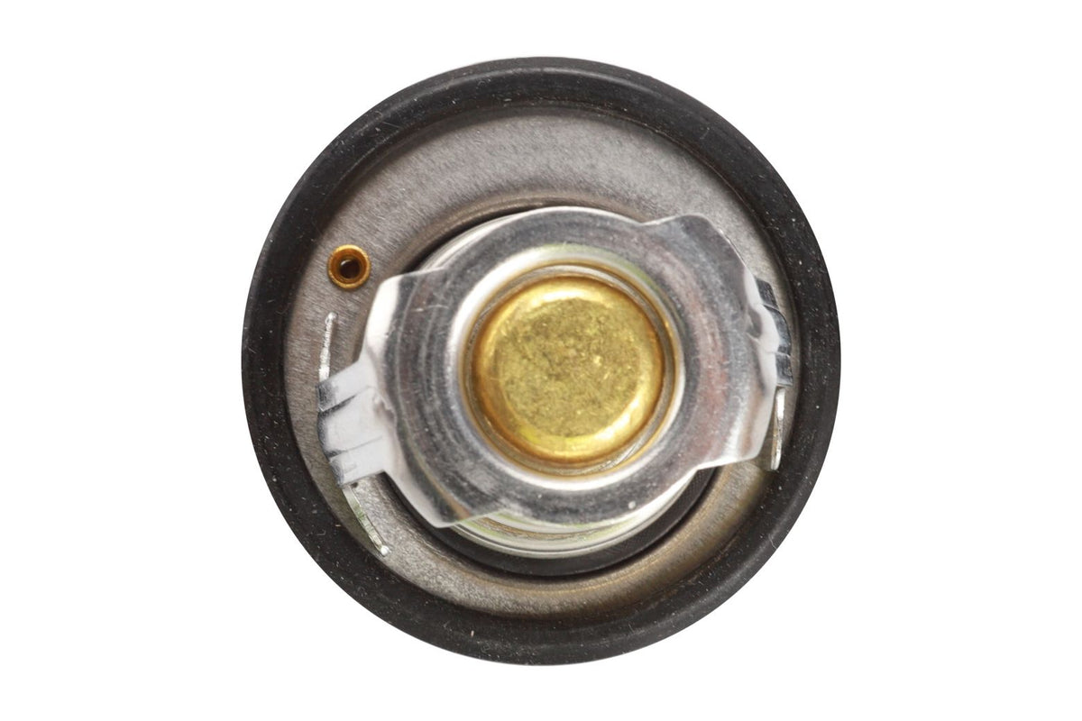 BOGAP Premium Thermostat for coolant F4245110