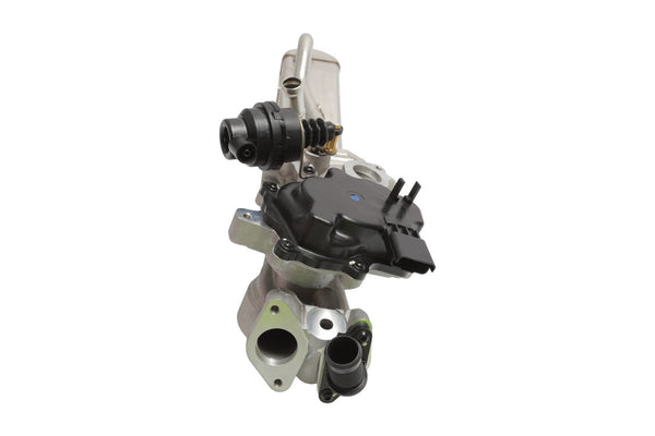 BOGAP Premium Valve for exhaust gas recirculation F6320101