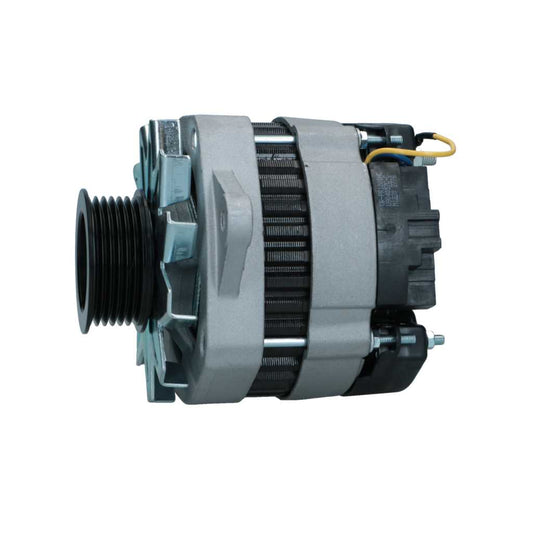 RNL-Standard Alternator Renault 70A RNL3885
