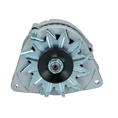 RNL-Standard Alternator Austin 65A RNL461