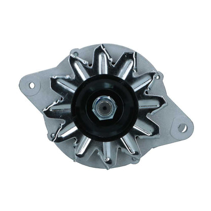 RNL-Standard Alternator Yanmar 55A RNLLR15520