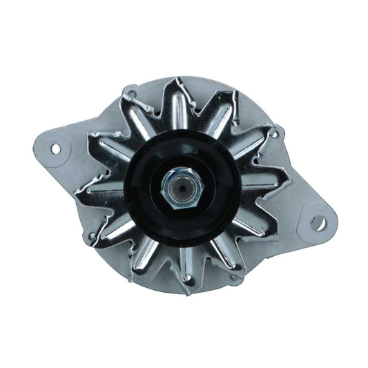 RNL-Standard Alternator Yanmar 55A RNLLR15520