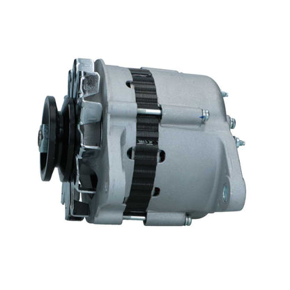 RNL-Standard Alternator Yanmar 55A RNLLR15520