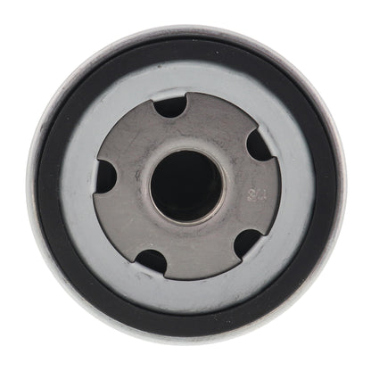 VAICO Oil Filter V10-0319