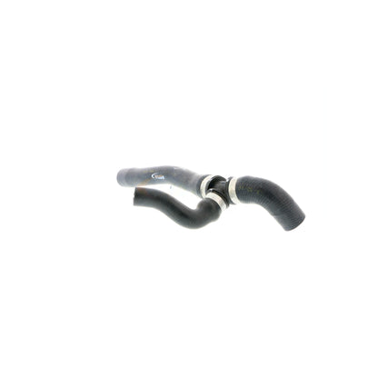 VAICO Radiator Hose V10-0500