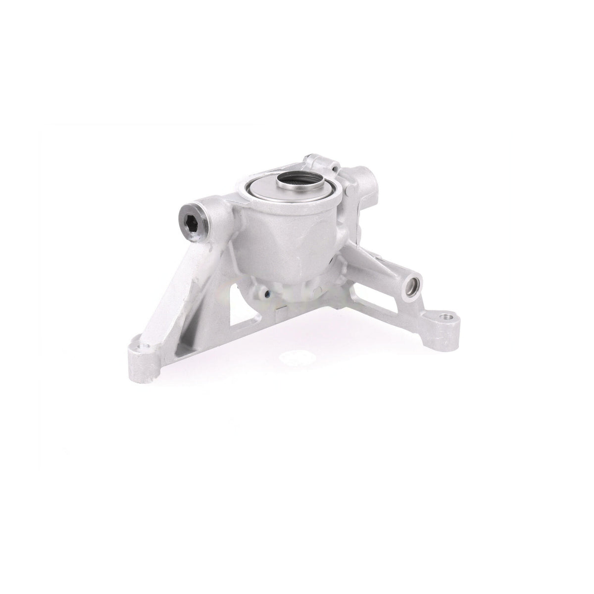 VAICO Oil Pump V10-0595