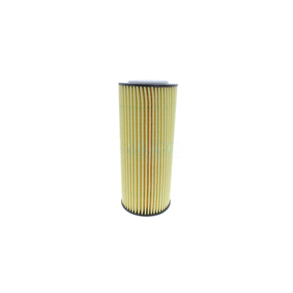VAICO Oil Filter V10-0666