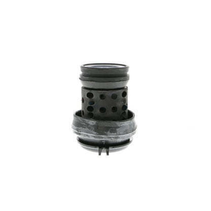 VAICO Mounting, engine V10-1180
