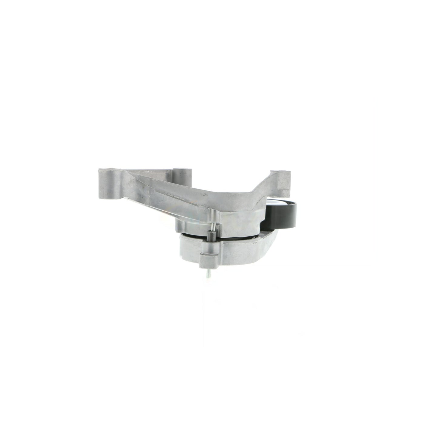 VAICO Tensioner Pulley, V-ribbed belt V10-1695