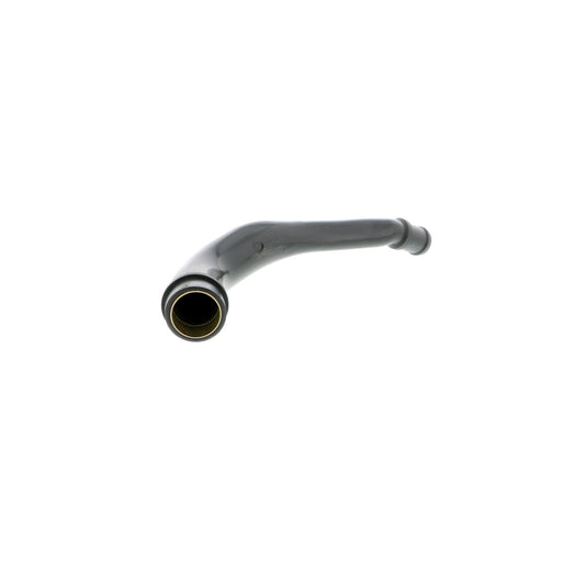 VAICO Hose, crankcase ventilation V10-2524