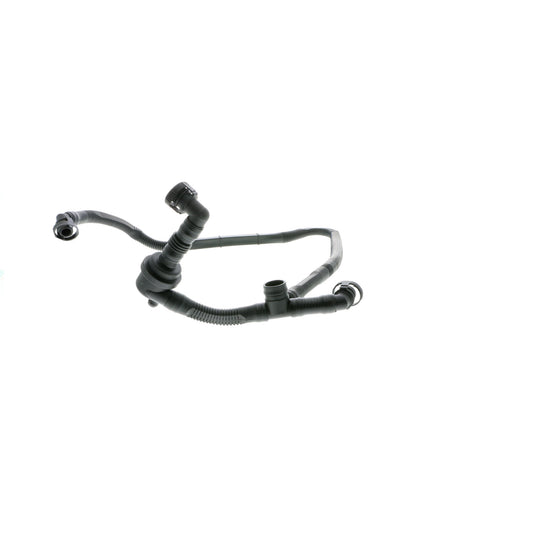 VAICO Hose, crankcase ventilation V10-2677