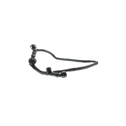 VAICO Hose, crankcase ventilation V10-2677