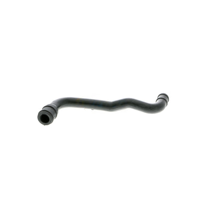 VAICO Hose, cylinder head cover ventilation V10-2773