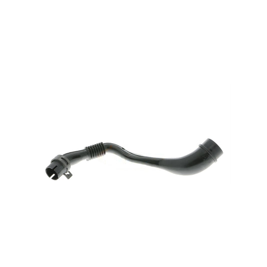 VAICO Hose, crankcase ventilation V10-2778