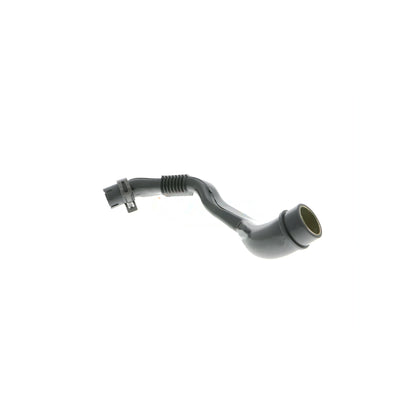 VAICO Hose, crankcase ventilation V10-2778