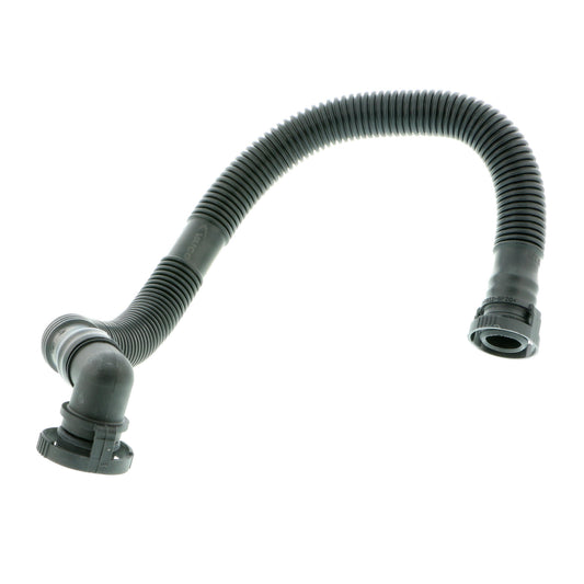 VAICO Hose, crankcase ventilation V10-2779