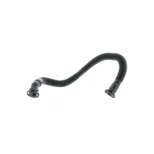 VAICO Hose, crankcase ventilation V10-2779