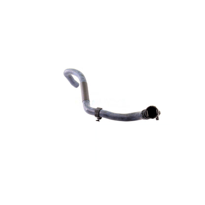 VAICO Radiator Hose V10-2823