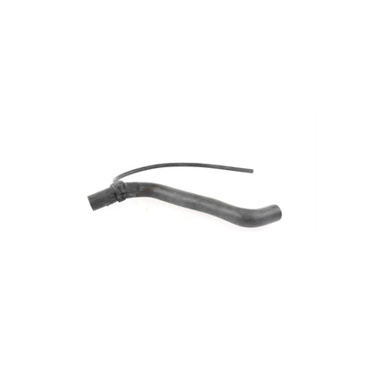 VAICO Radiator Hose V10-3199