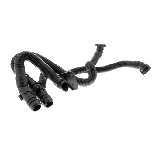 VAICO Hose, crankcase ventilation V10-3503