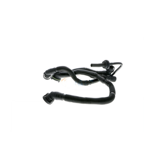 VAICO Hose, crankcase ventilation V10-3505