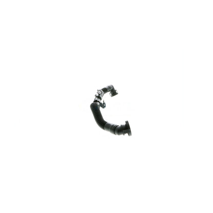 VAICO Hose, air supply V10-3586