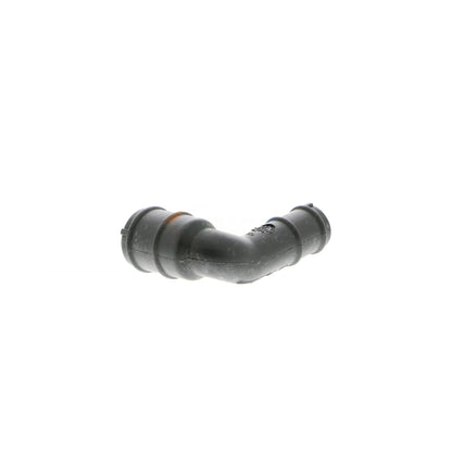 VAICO Hose, air supply V10-3589