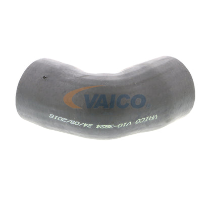 VAICO Charge Air Hose V10-3824