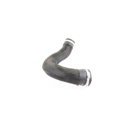 VAICO Charge Air Hose V10-3834