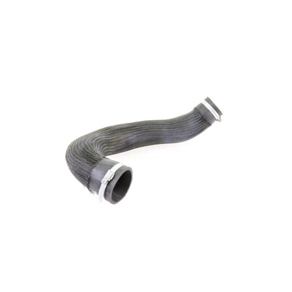 VAICO Charge Air Hose V10-3834