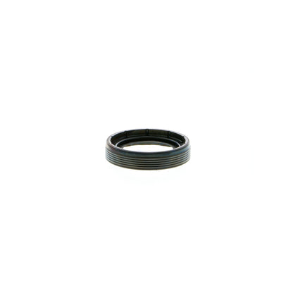 VAICO Shaft Seal, camshaft V10-3874