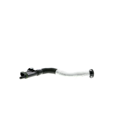 VAICO Hose, crankcase ventilation V10-3879