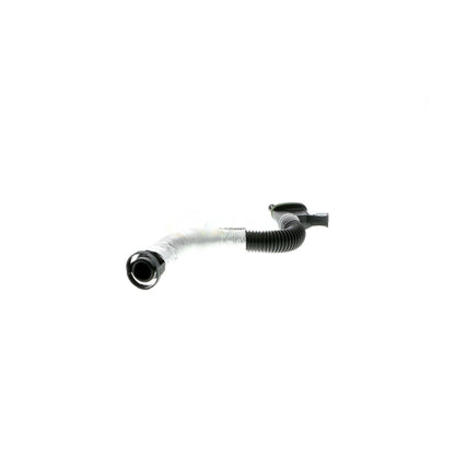 VAICO Hose, crankcase ventilation V10-3879