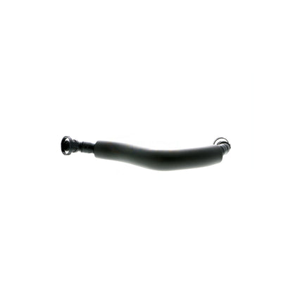 VAICO Hose, crankcase ventilation V10-3880
