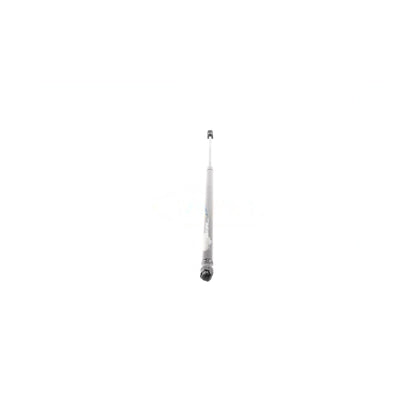 VAICO Gas Spring, boot/cargo area V10-3982